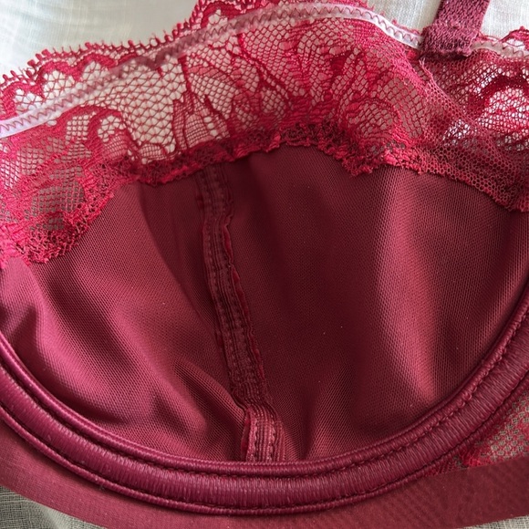 Triumph Velvet & Lace Bra - Picture 10 of 10